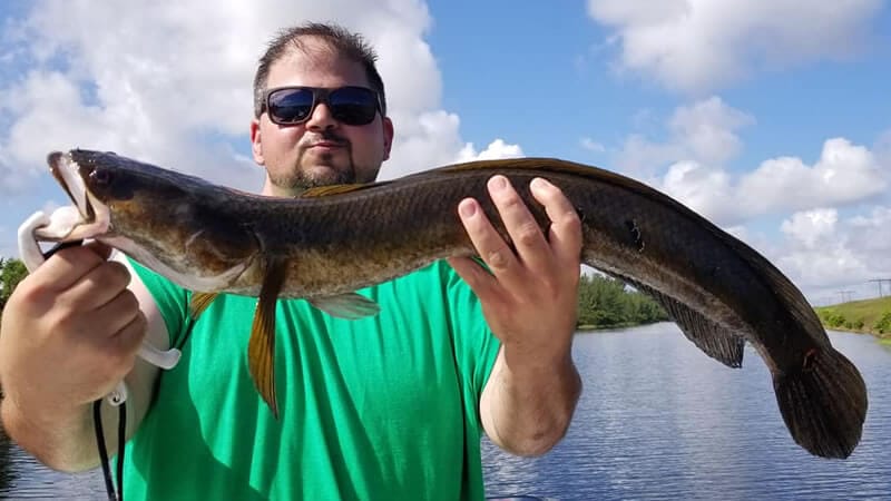 Snakehead Fishing | Where and How To Catch Snakehead in Florida