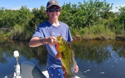 Naples Peacock Fishing Charters in Southwest Florida