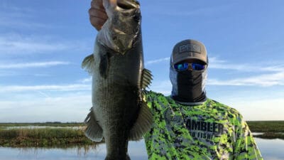 big bass glide baits- fishing deeper water