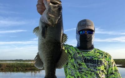 How To Catch Bass In Summer | Strategies For Summer Bass Fishing