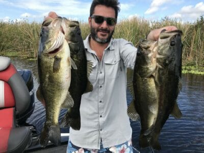 Florida Everglades Bass Fishing Charter