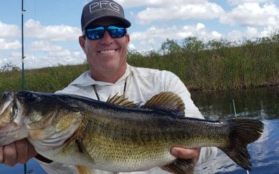 Everglades Canal Fishing Charters for South Florida Bass