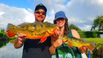 Insane Florida Bass Fishing