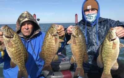 Lake Erie Bass Charters in Erie Pennsylvania with Capt Mark Rose