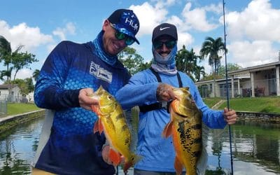 Miami Urban Peacock Bass Fishing with Captain Robert Miley