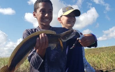 October Peacock Bass Fishing Reports in South Florida with Experts