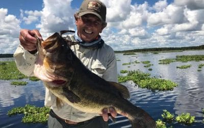 2019-2020 Rodman Reservoir Drawdown Fishing for Trophy Largemouth Bass