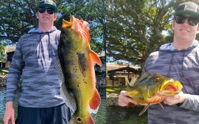 Topwater Peacock Fishing Trip with Local Bass Fishing Experts