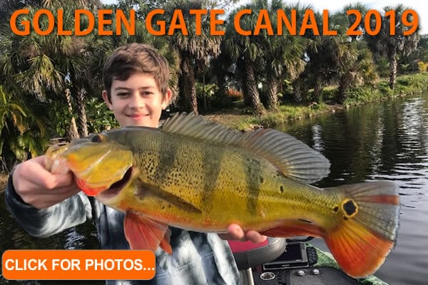 2019 Golden Gate Canal Pictures