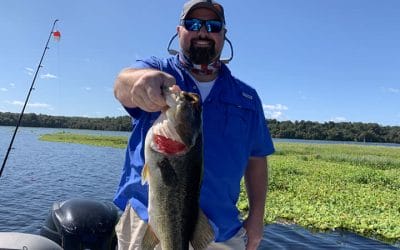 November North Florida Fishing for Florida Largemouth Bass