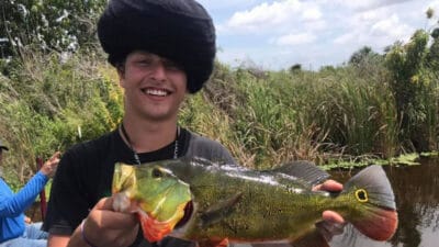 Peacock Bass Broward County