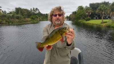 Peacock Bass Collier County