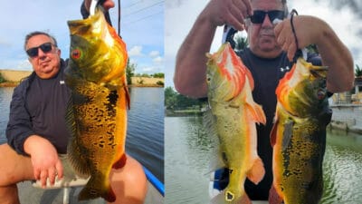 December Miami Airport Lakes Fishing Charters