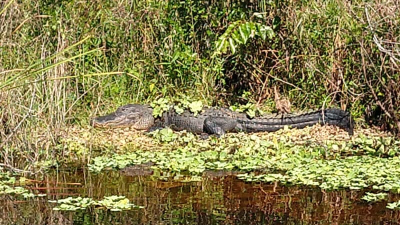 camping in the Everglades national park wilderness permits