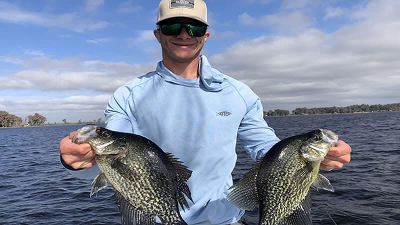 crappie fish jig jigs and minnows - fish for crappie