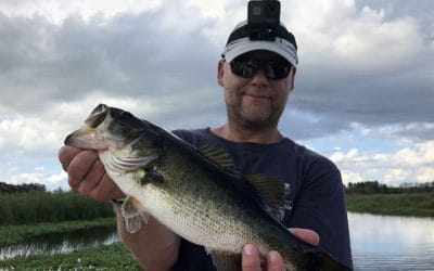 Productive Kissimmee Bass Fishing Charters in Central Florida