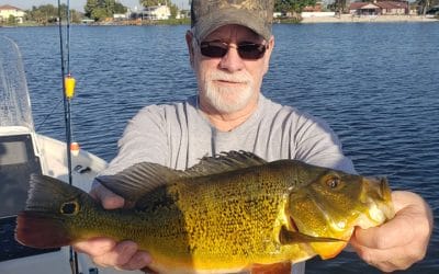 January Naples Bass Fishing Charters in Southwest Florida