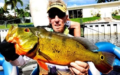February Lake Ida Fishing Charters for Florida Peacock Bass