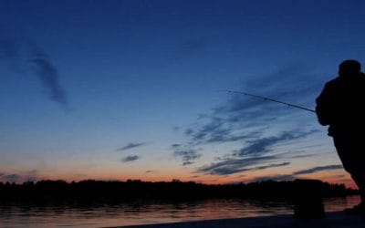 Bass Fishing at Night