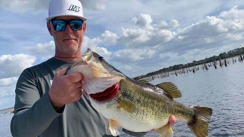 Giant Largemouth Bass Fishing in North Florida