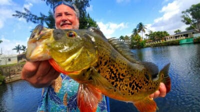 Port st lucie fishing charter