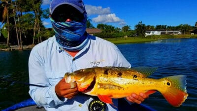 Fly Fishing in Florida - bass fishing the moon phase