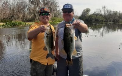 Harris Chain Fishing Update in Central Florida