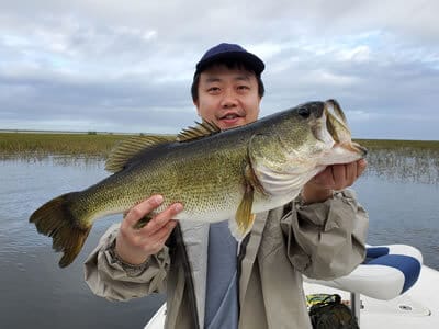 Lake Okeechobee Artificial Lure Fishing