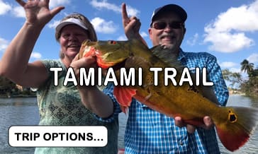 Tamiami Canal Trail Fishing