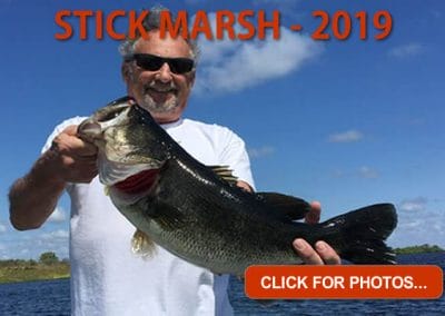 2019 Stick Marsh Pictures