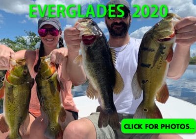 2020 Florida Everglades Pictures