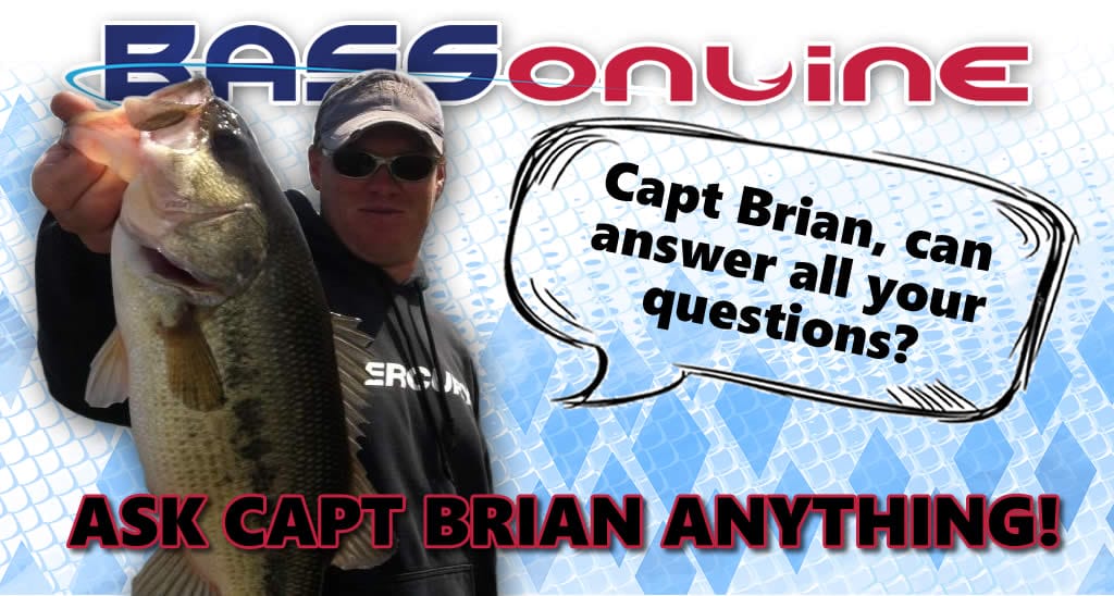Capt Brian Brown Questions
