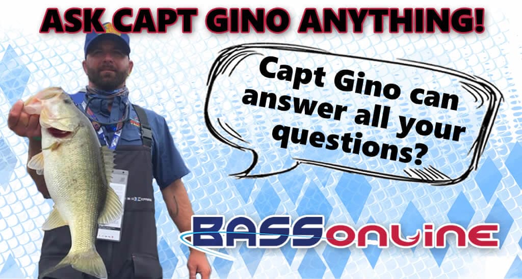 Capt Gino Losi Questions