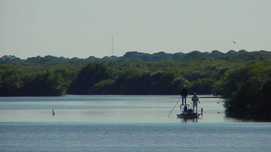 Indian River fishing near New Smyrna Beach