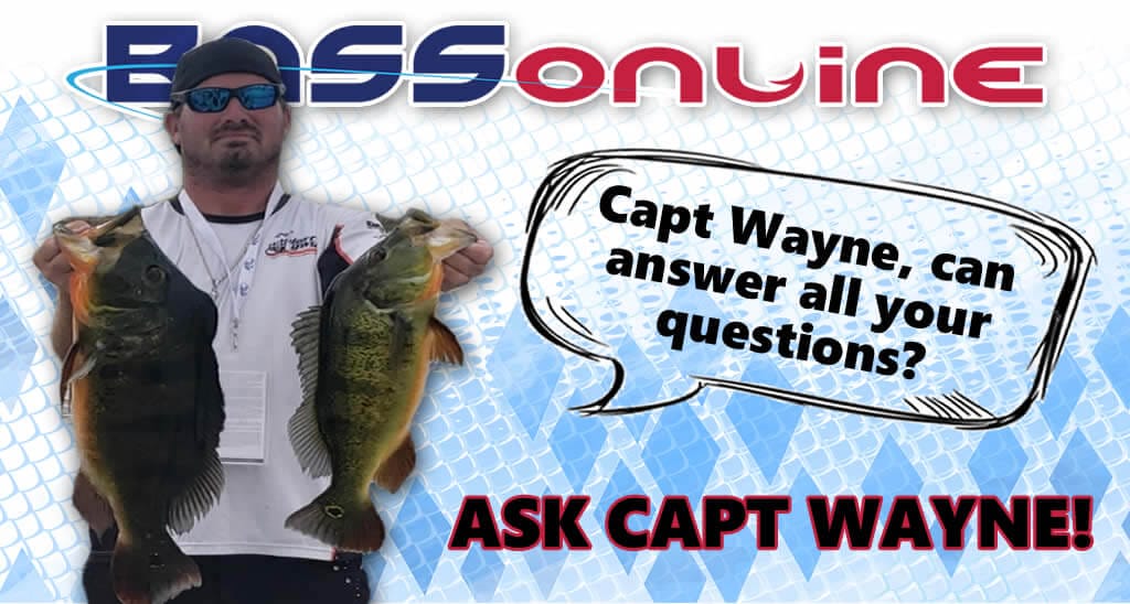 Capt Wayne fellows Questions
