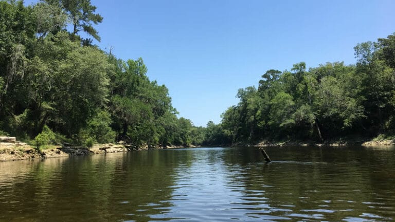 Withlacoochee River, Complete Guide to Withlacoochee River State Forest