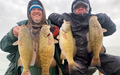 Early Winter Bass Fishing, All you Need to Know