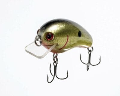 Lipless crankbaits in shad patterns