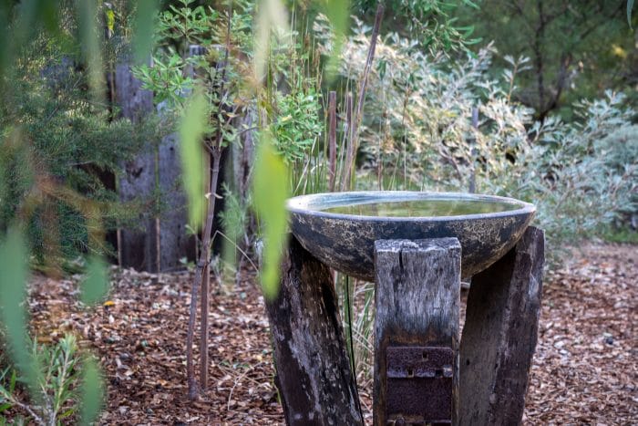 Photo of the water fountain at Gooligumup