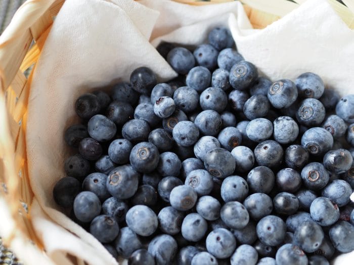 Photo of blueberries in a basket